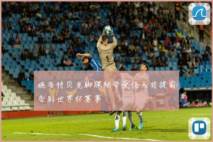 施洛特贝克脚踝韧带受伤或将提前告别世界杯赛事